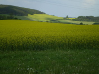 Ilustran foto